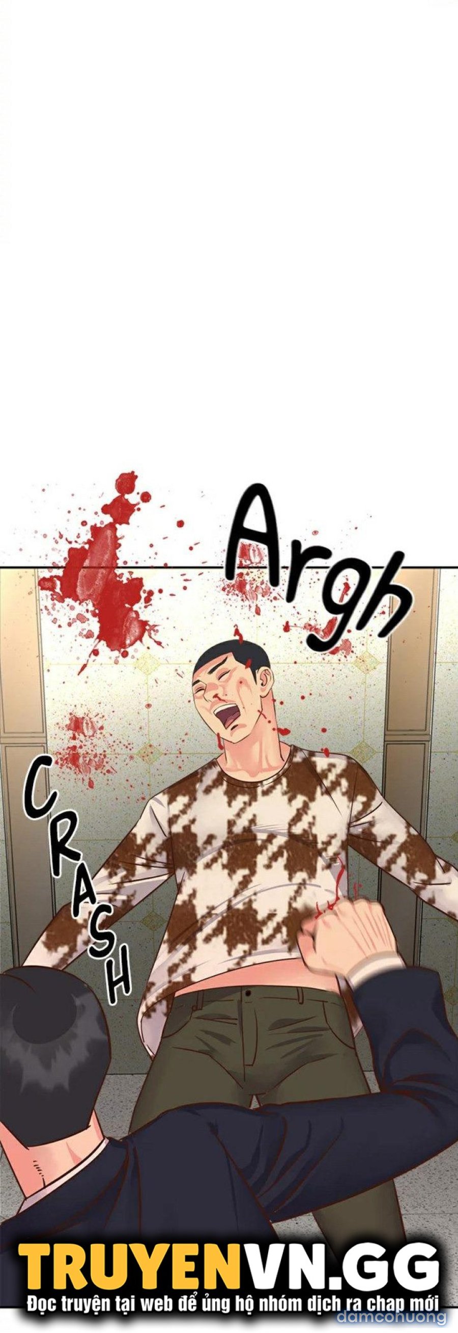 Quý Cô Của Tôi 