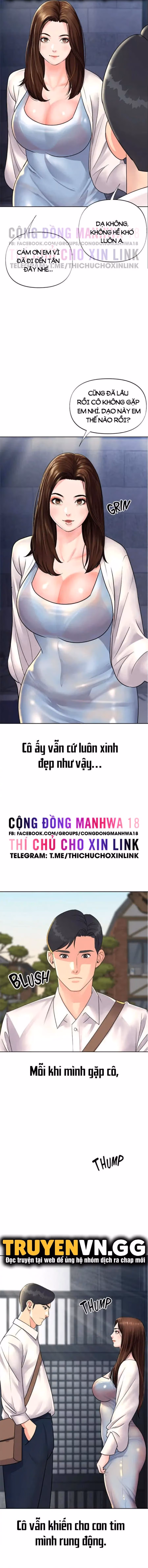 Quý Cô Của Tôi 