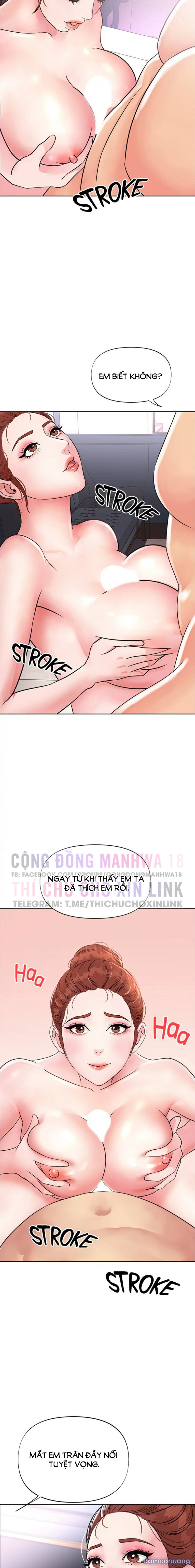 Quý Cô Của Tôi 