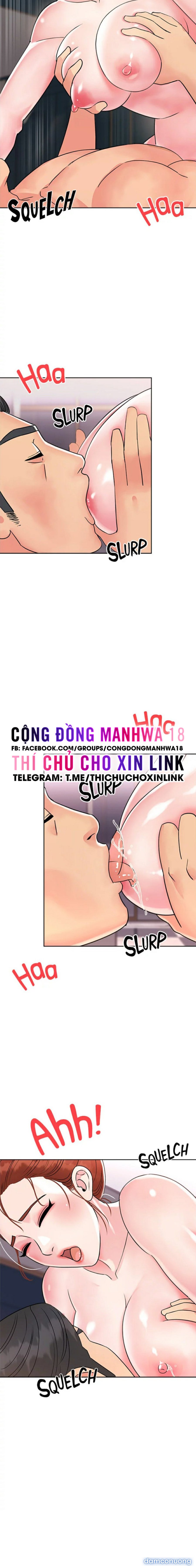 Quý Cô Của Tôi 