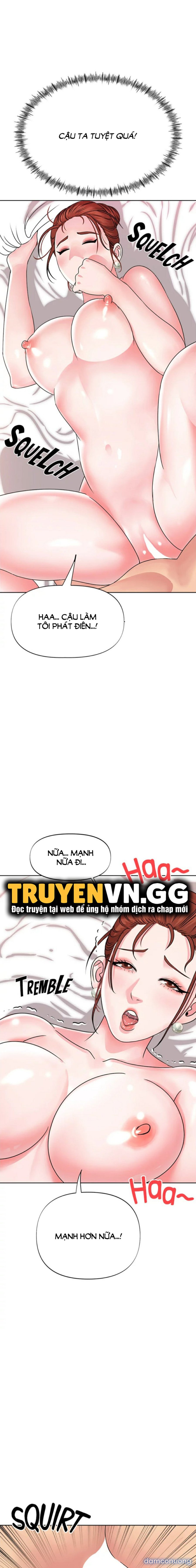 Quý Cô Của Tôi 