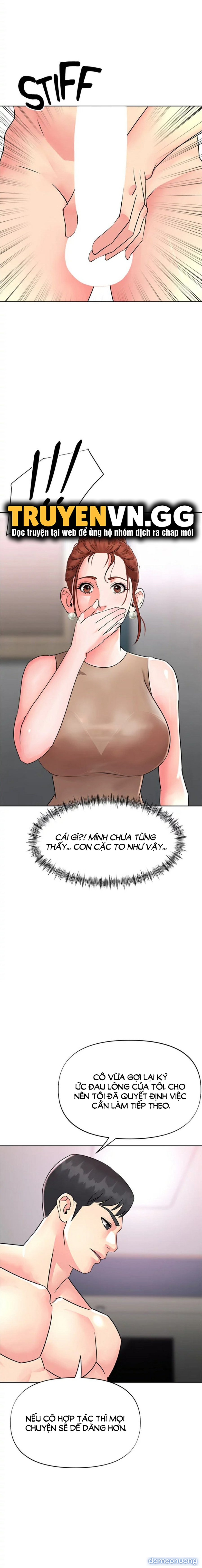 Quý Cô Của Tôi 