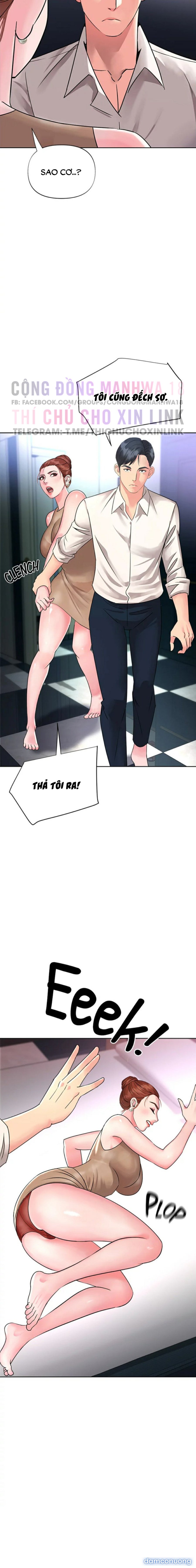 Quý Cô Của Tôi 