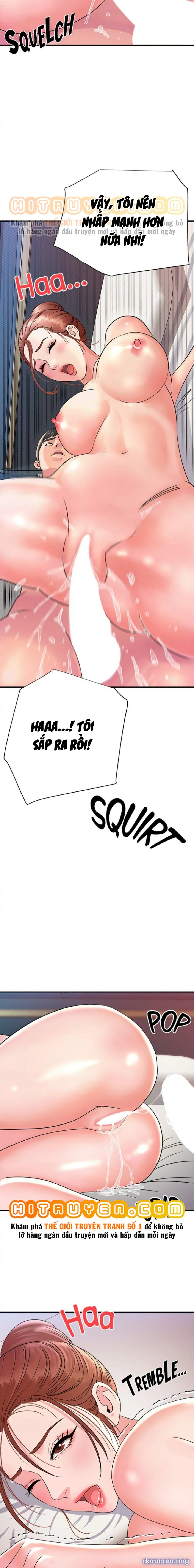 Quý Cô Của Tôi 