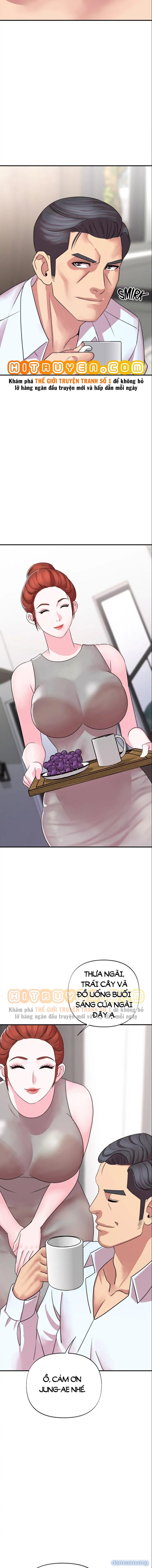 Quý Cô Của Tôi 