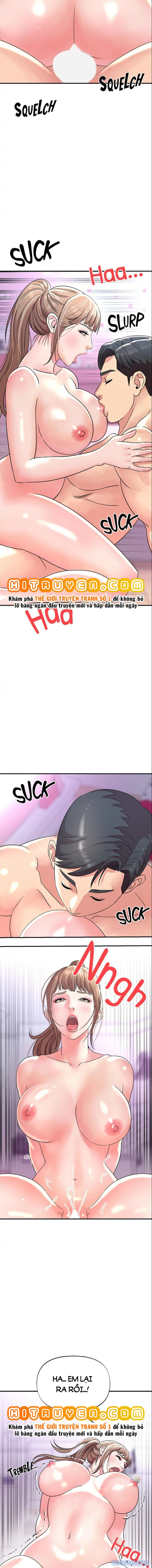 Quý Cô Của Tôi 