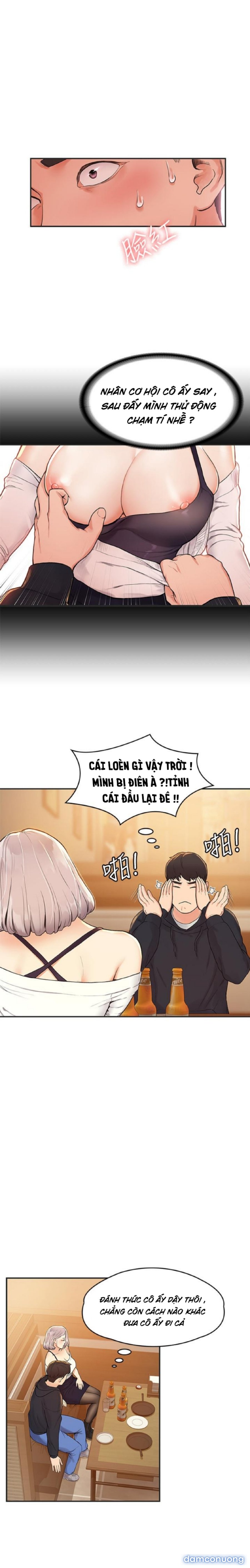 Sinh Viên Thời Nay 