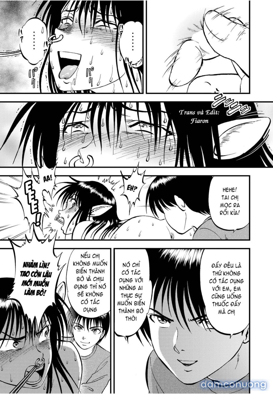 Ura Kuri Hiroi 