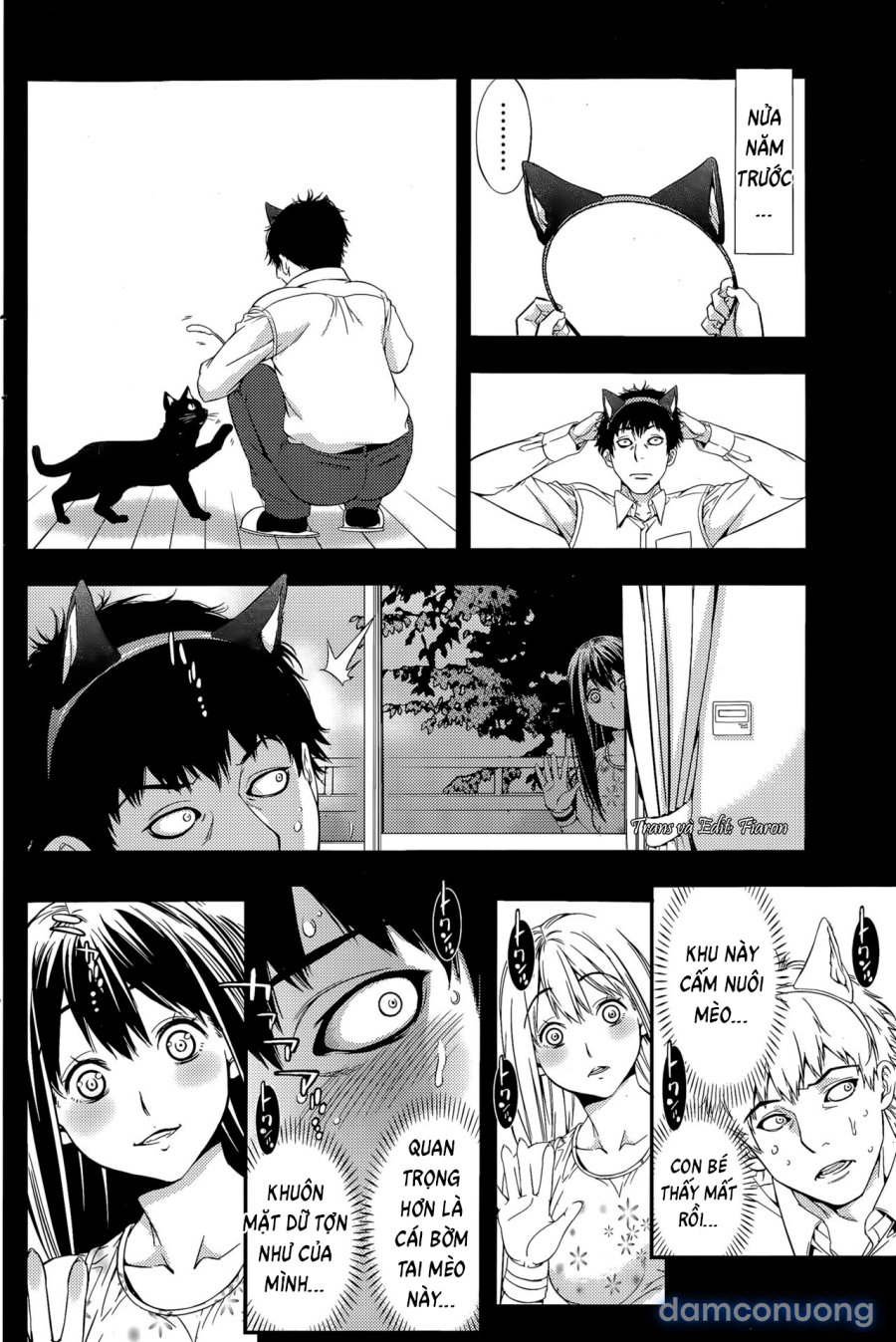 If It's Getting Married, a Catgirl 