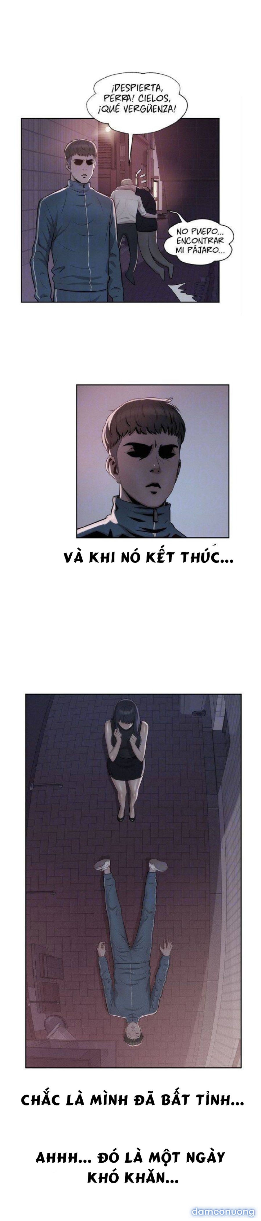 Cô Nàng Năm Nhất 