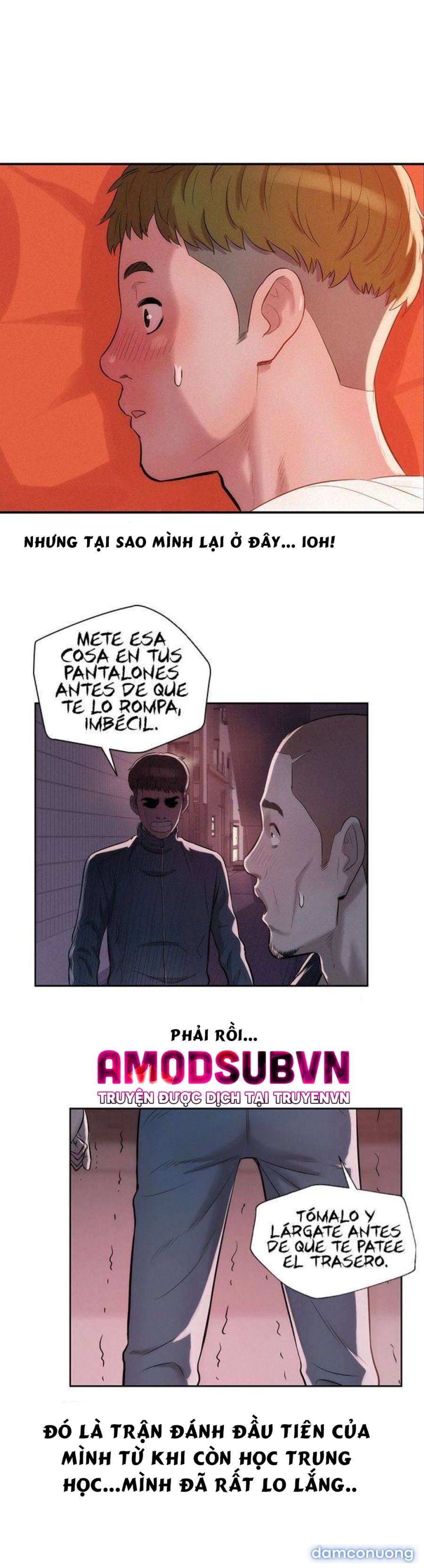 Cô Nàng Năm Nhất 