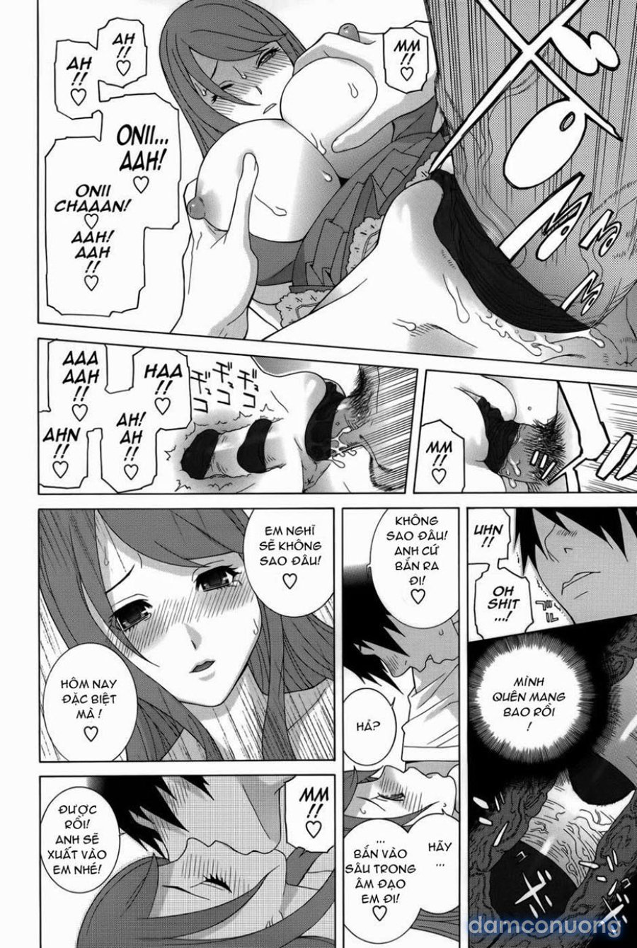 Little Stepsister Fantasy 