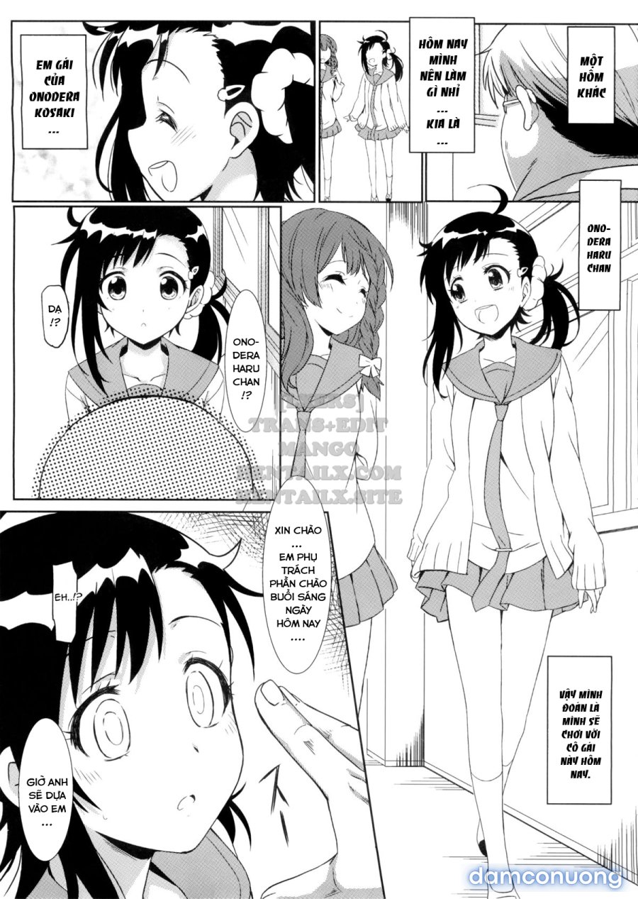 Yamikoi 