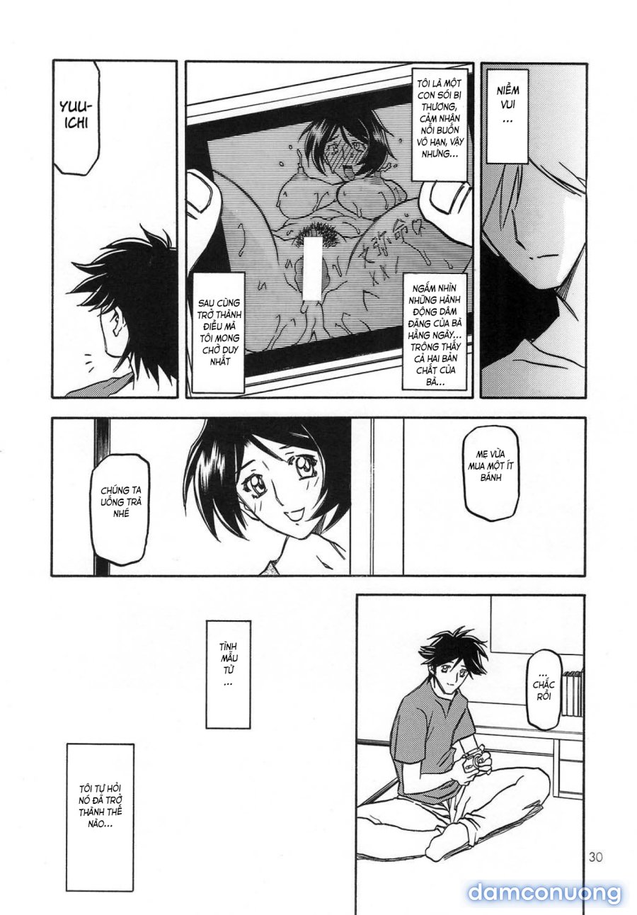 Yamahime No Mi Satomi 