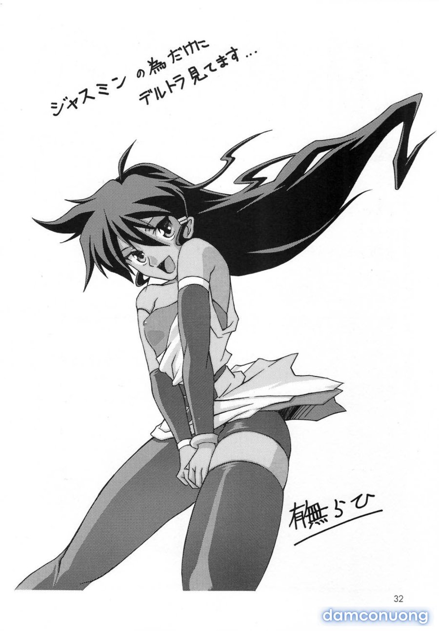 Yamahime No Mi Satomi 