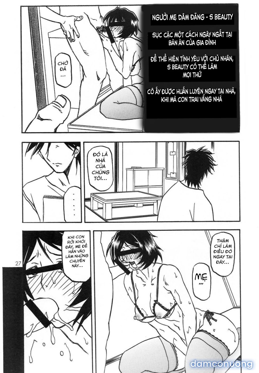 Yamahime No Mi Satomi 