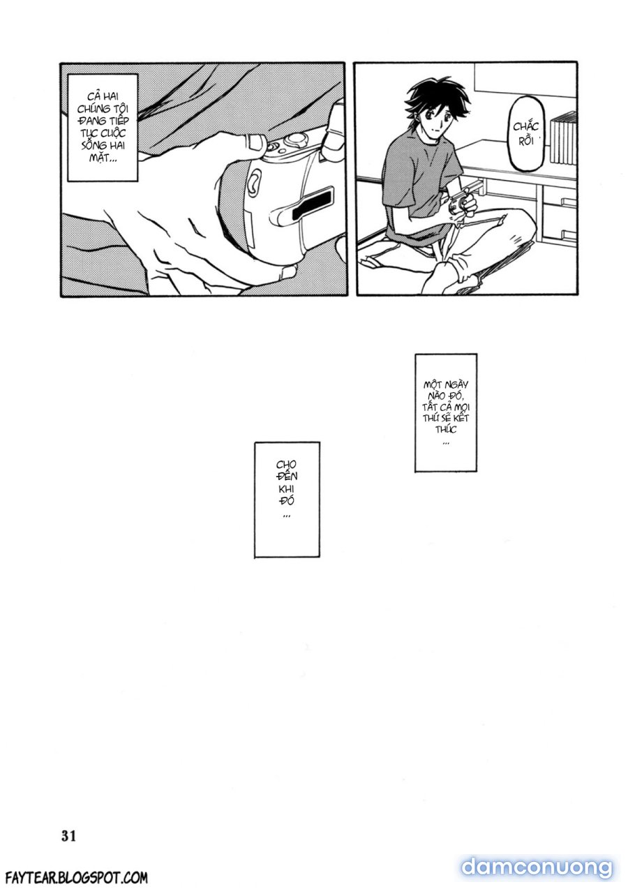 Yamahime No Mi Satomi 