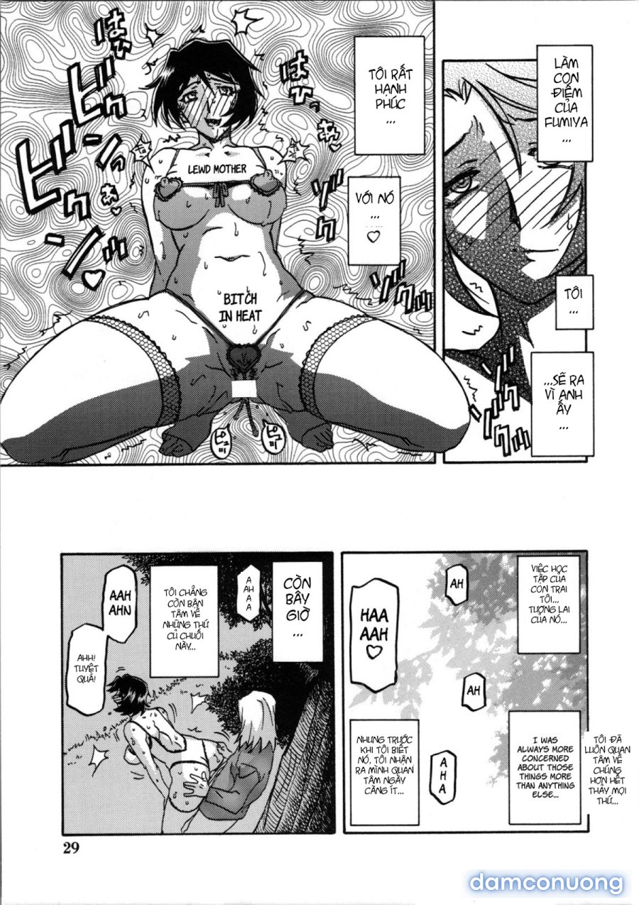 Yamahime No Mi Satomi 