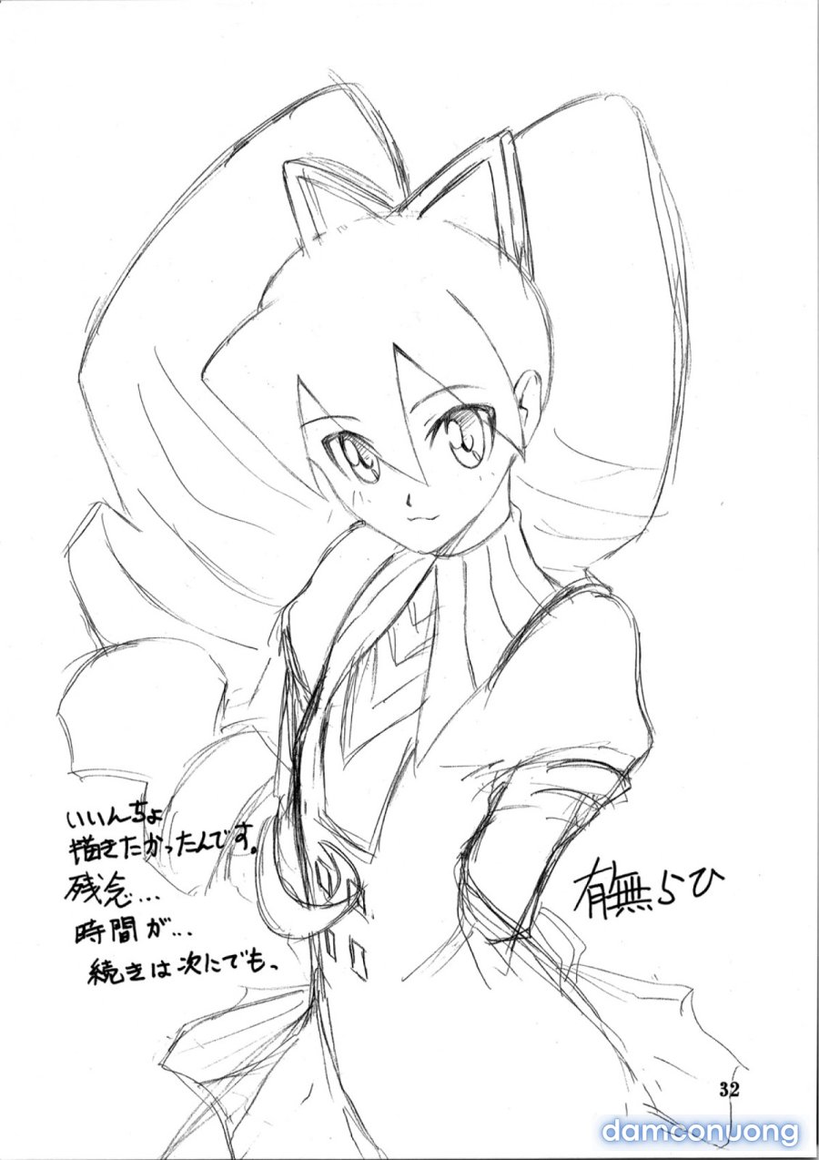 Yamahime No Mi Satomi 