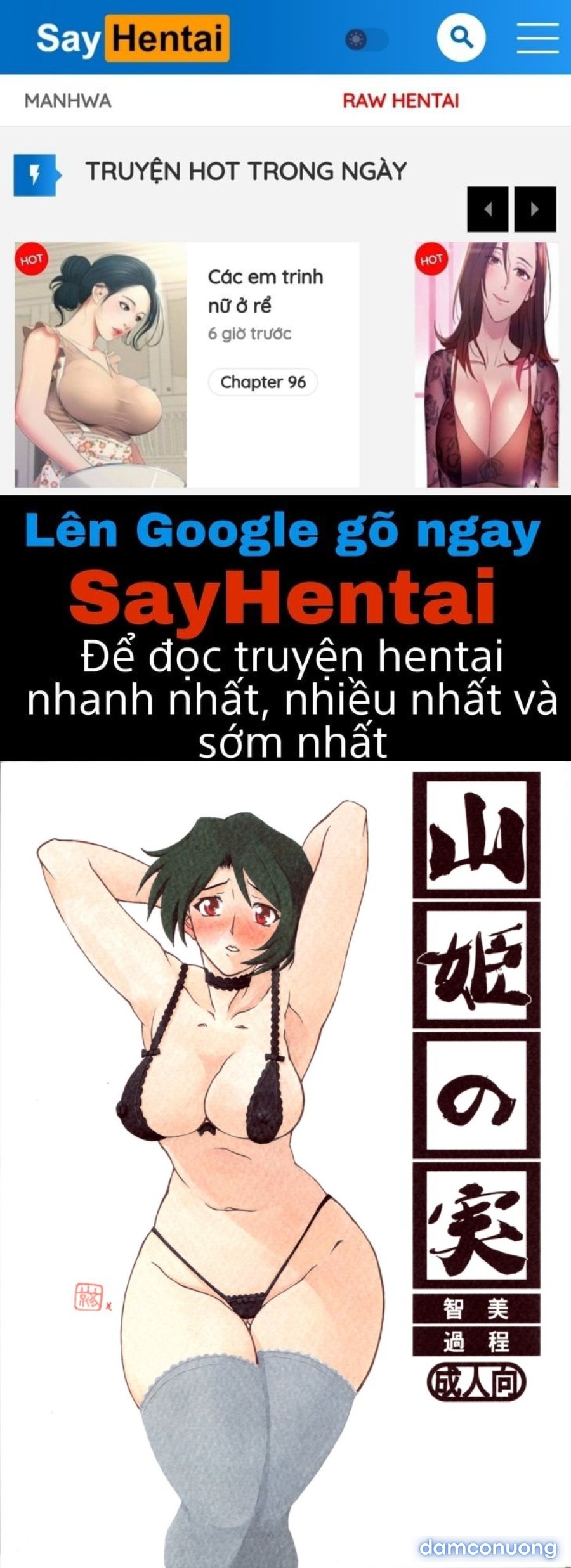 Yamahime No Mi Satomi 