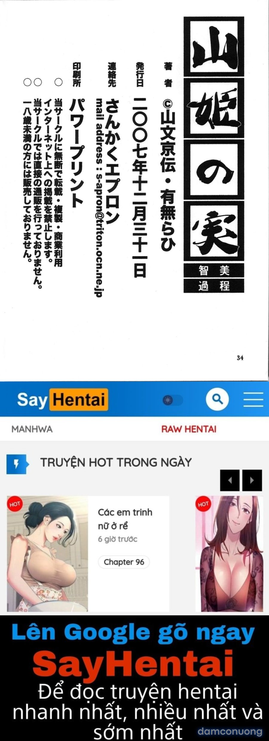 Yamahime No Mi Satomi 