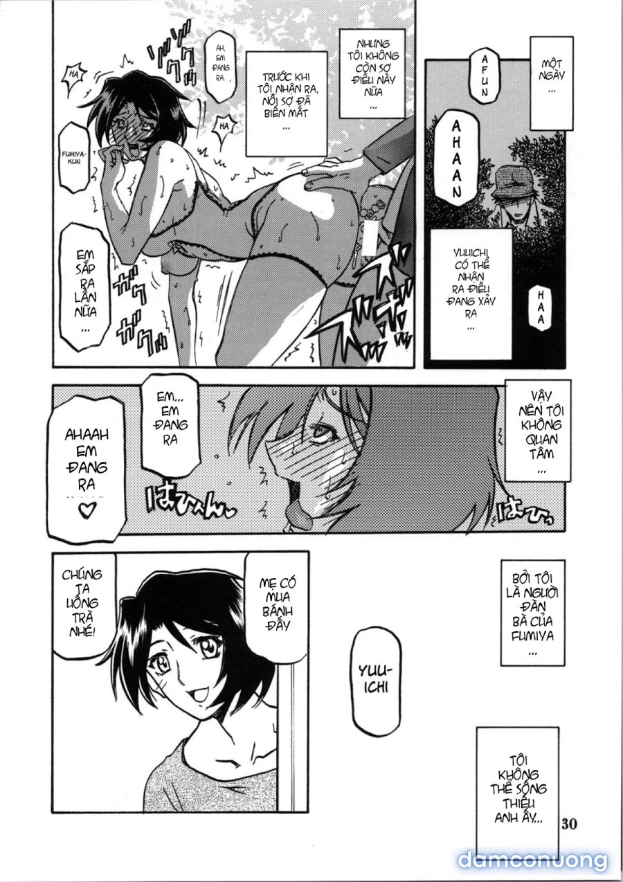 Yamahime No Mi Satomi 