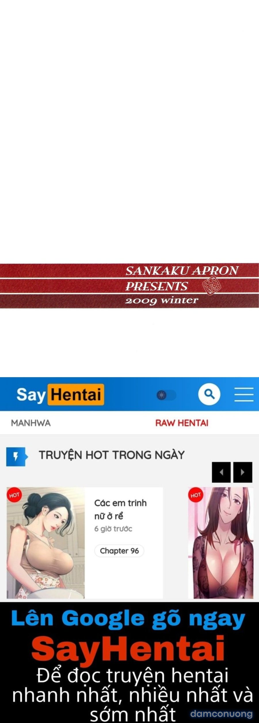 Yamahime No Mi Satomi 