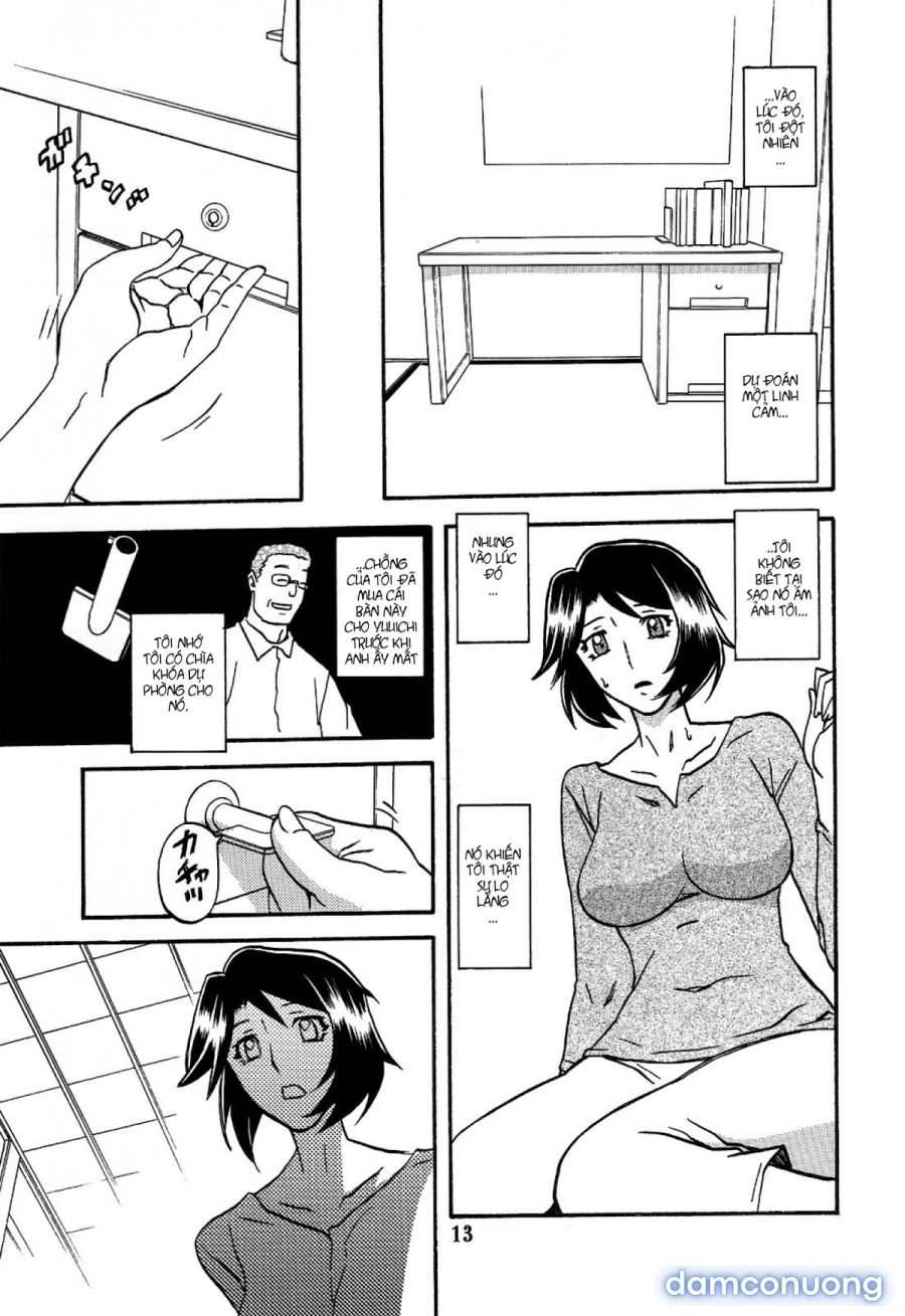 Yamahime No Mi Satomi 