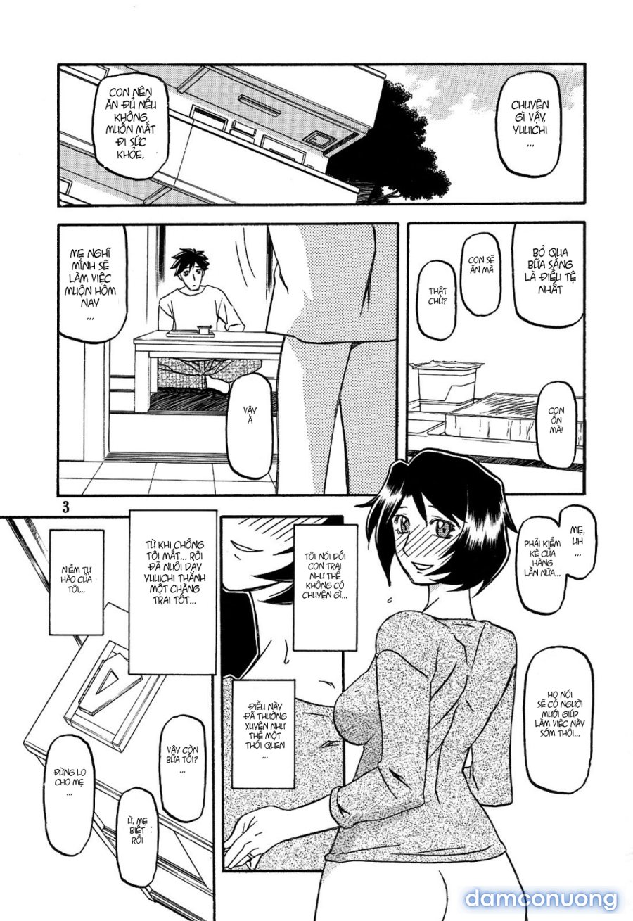 Yamahime No Mi Satomi 