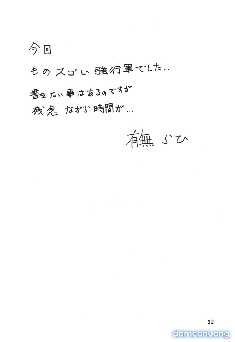 Yamahime No Mi Satomi 