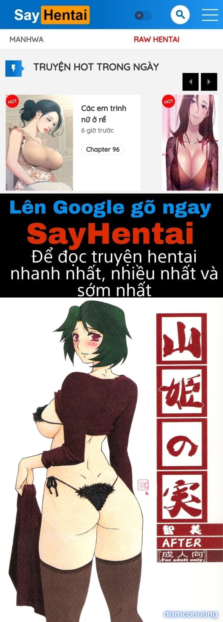 Yamahime No Mi Satomi 