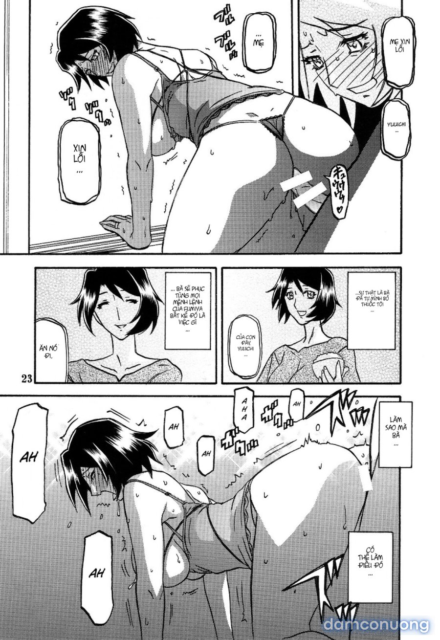 Yamahime No Mi Satomi 