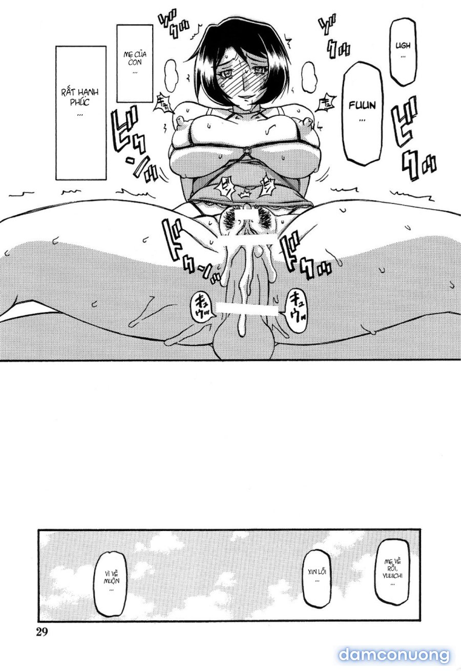 Yamahime No Mi Satomi 