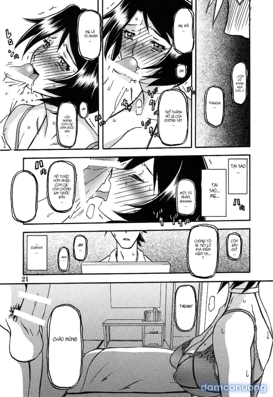 Yamahime No Mi Satomi 