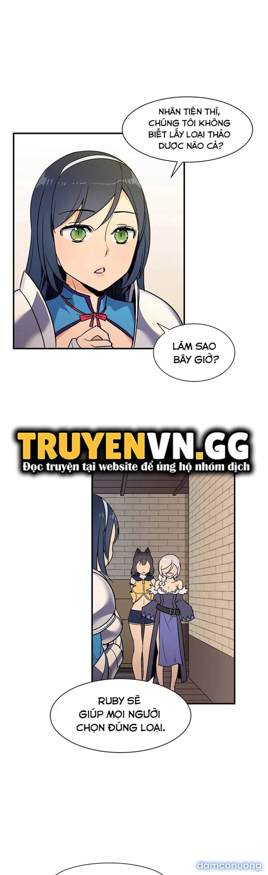 Harem Của Anh Hùng 