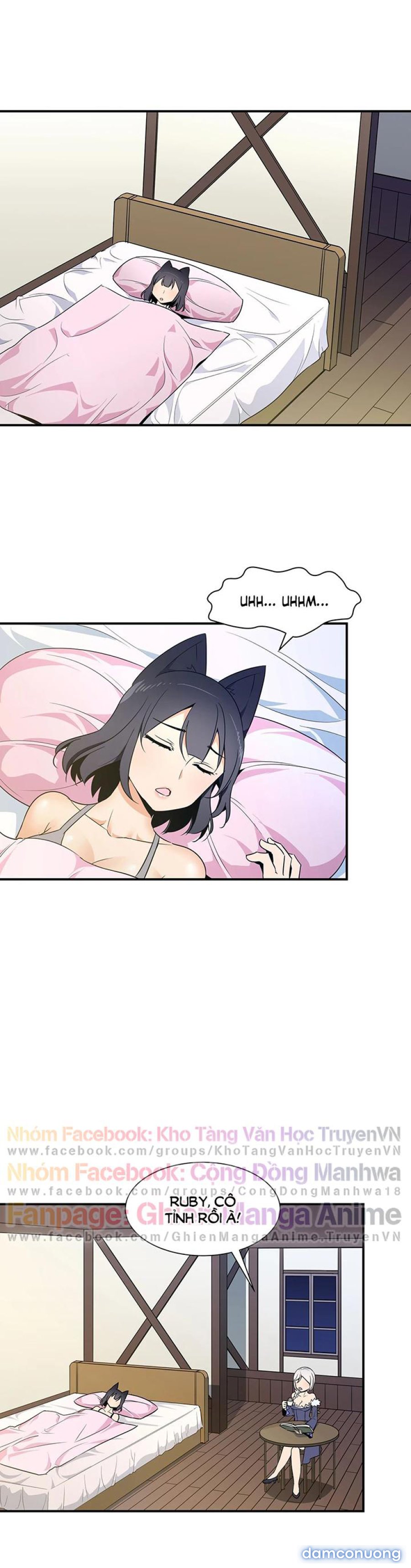 Harem Của Anh Hùng 