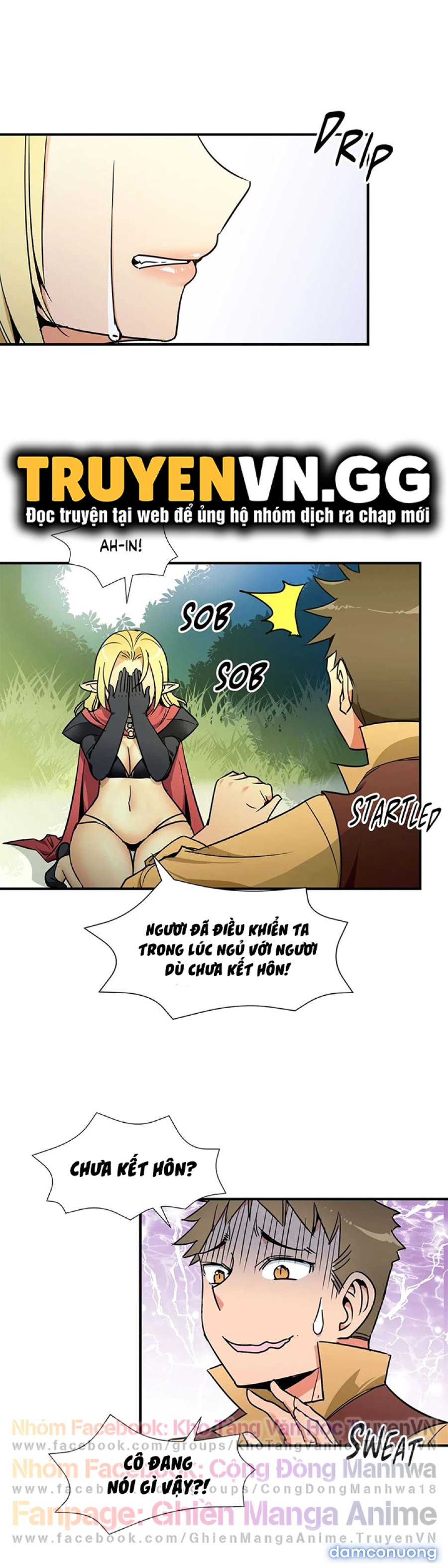 Harem Của Anh Hùng 