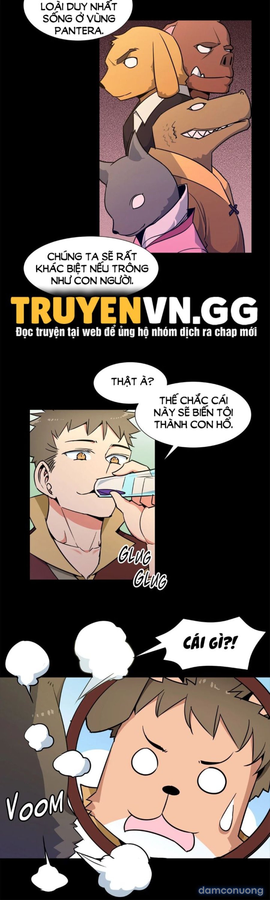 Harem Của Anh Hùng 