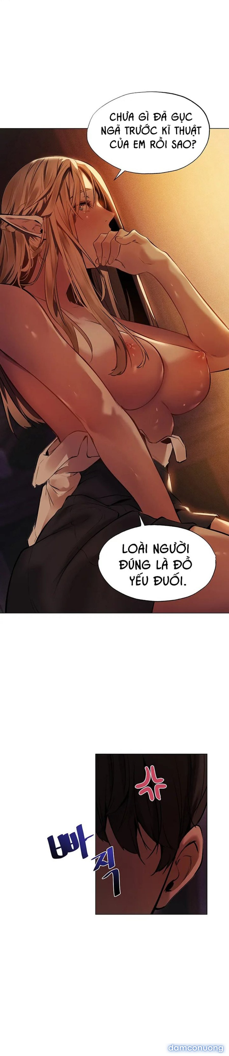 Dàn harem chiến binh ở dị giới 