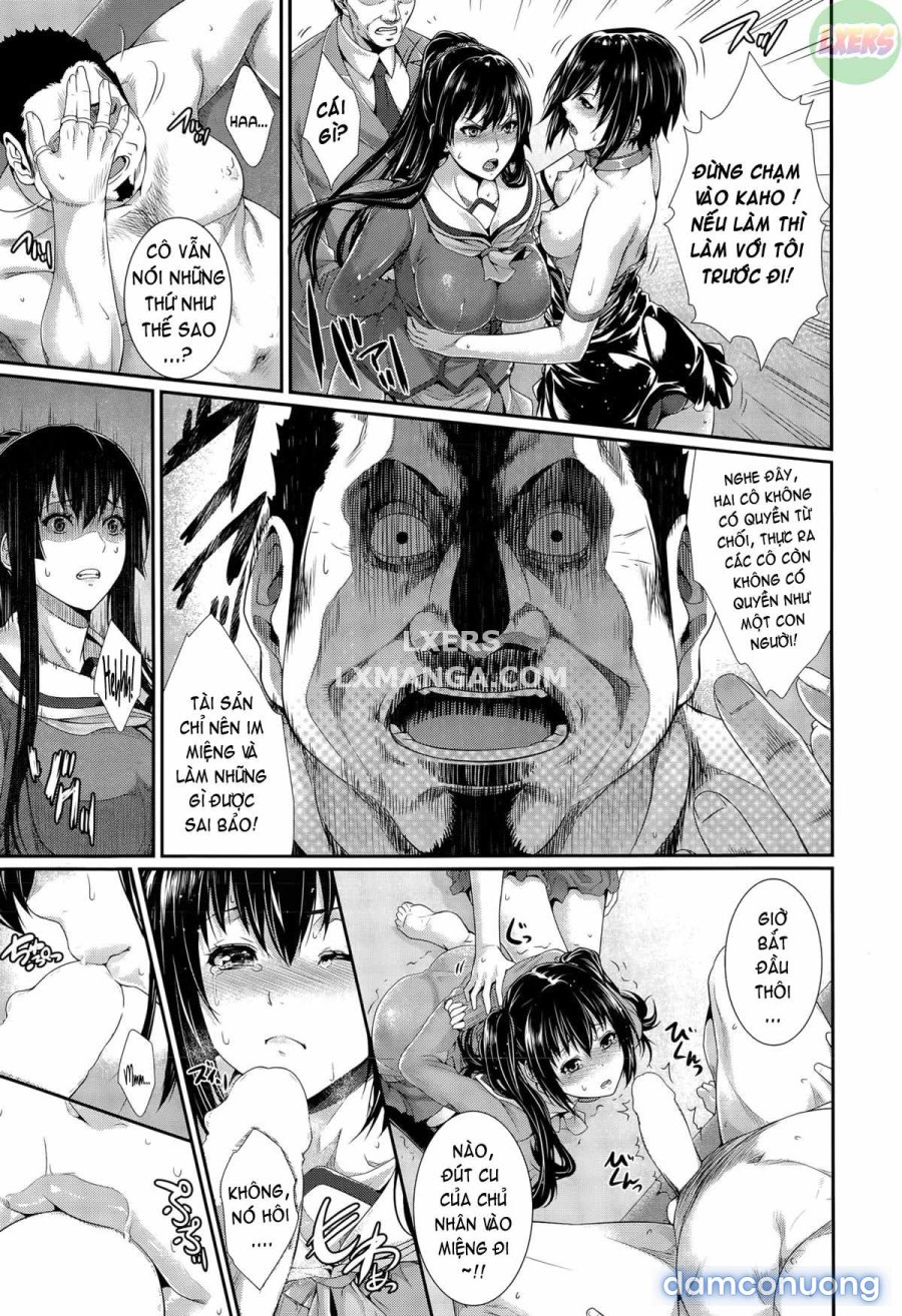 Yome Kounyuu Shimashita 