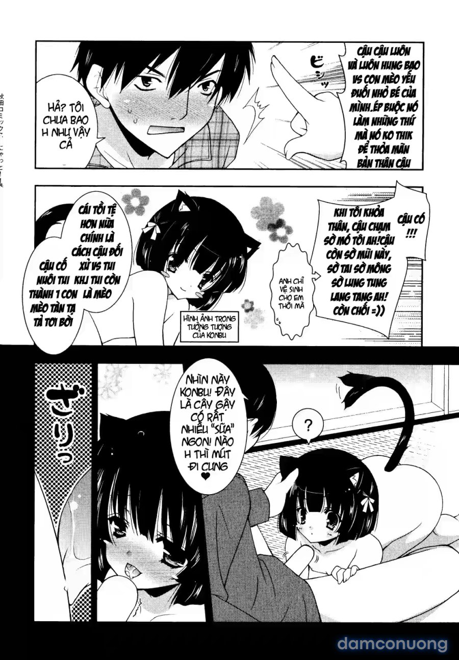 Nyatto 