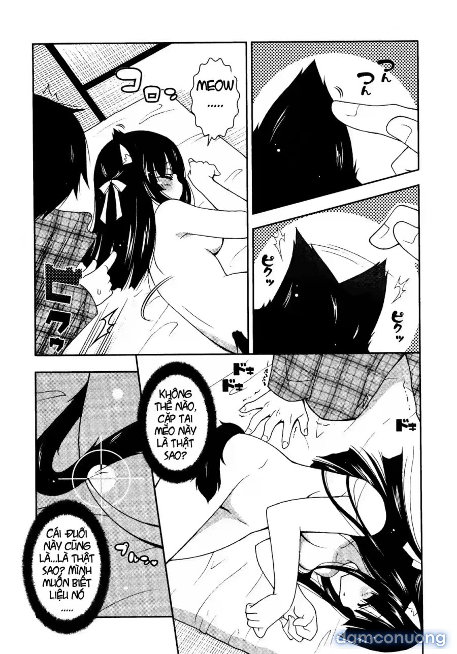 Nyatto 