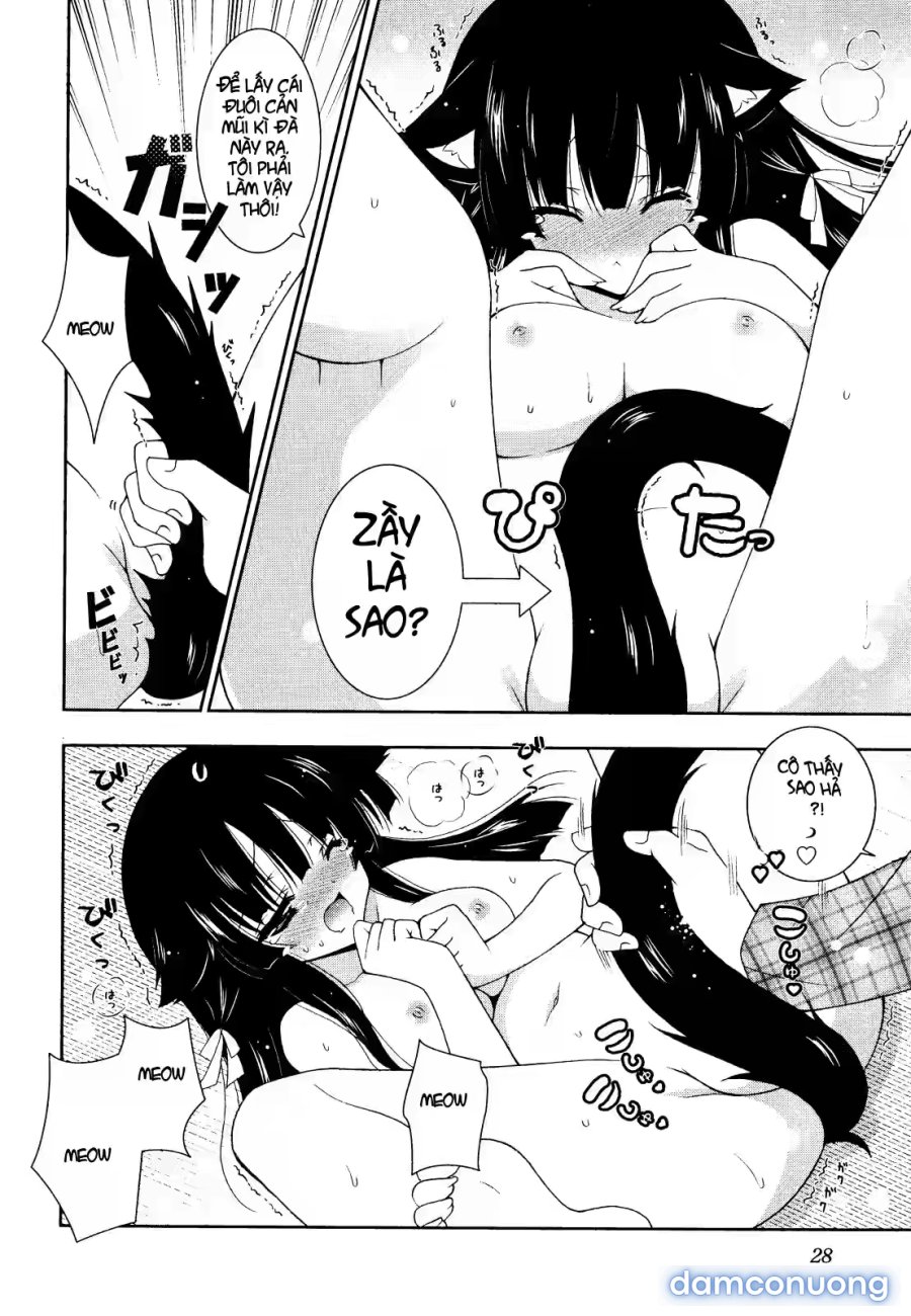Nyatto 