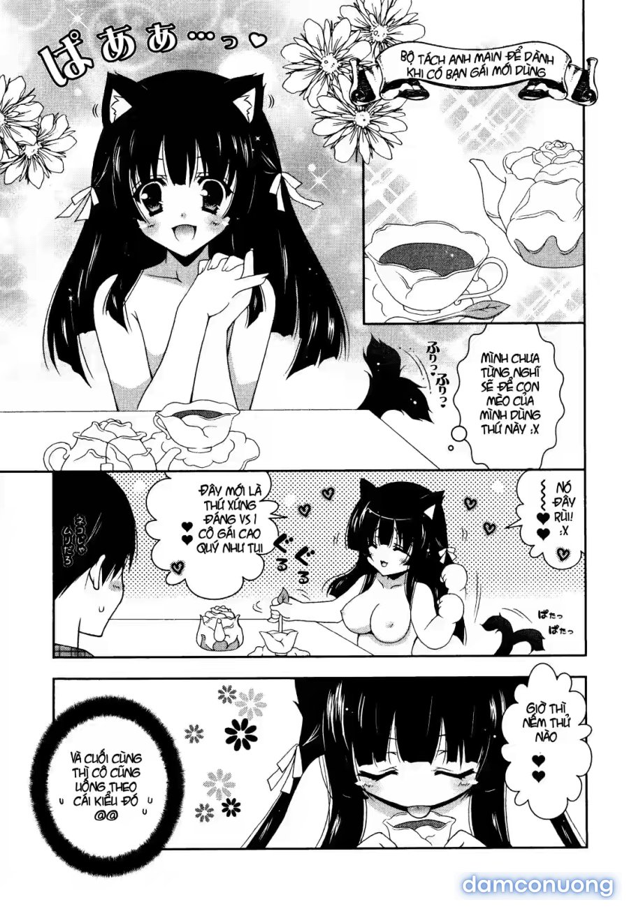 Nyatto 