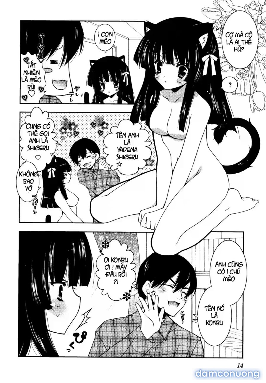 Nyatto 