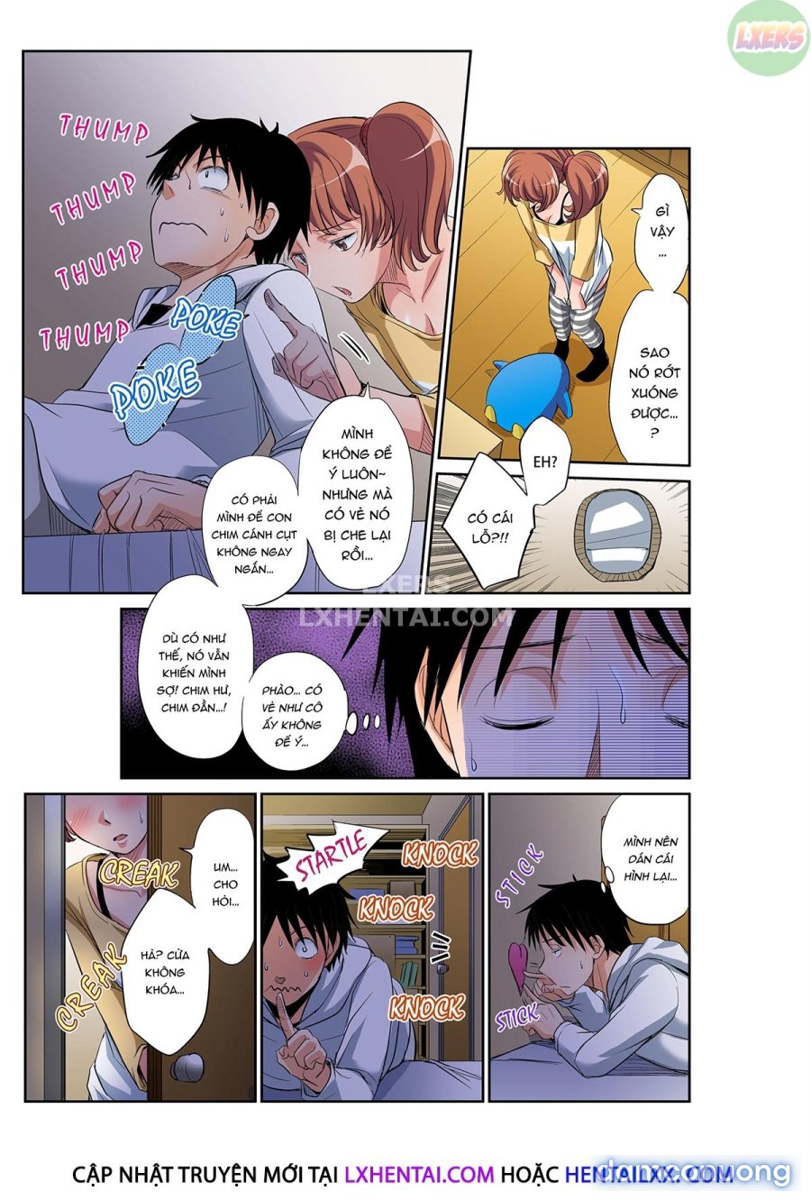 Girls Dorm Harem 