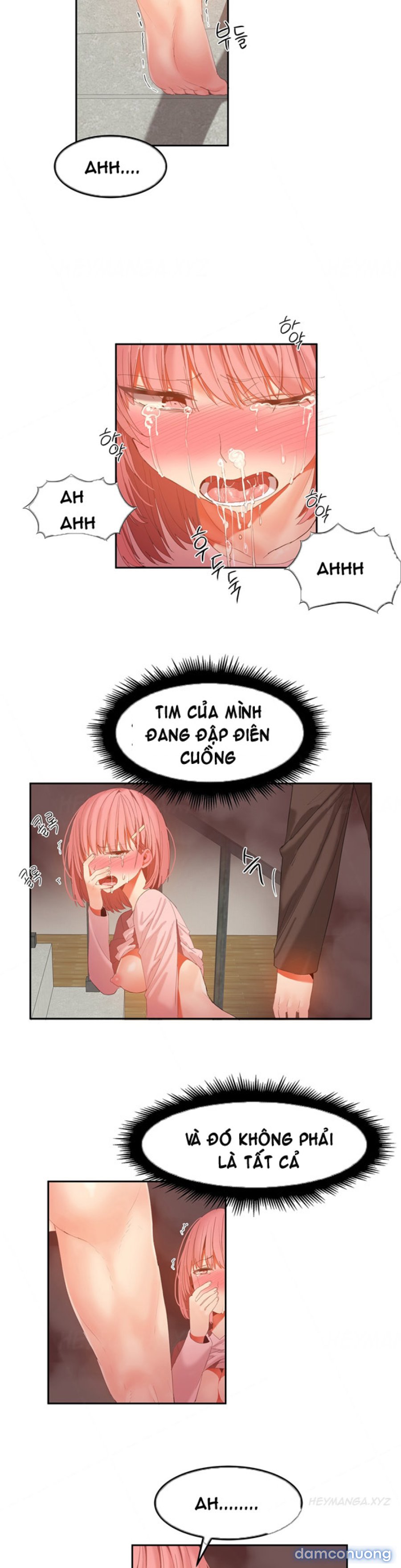 Chung Cư Của Hahri 