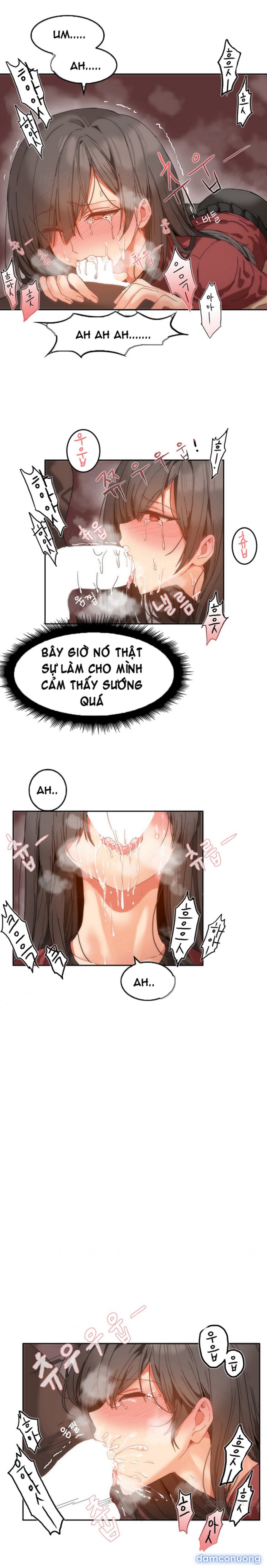 Chung Cư Của Hahri 