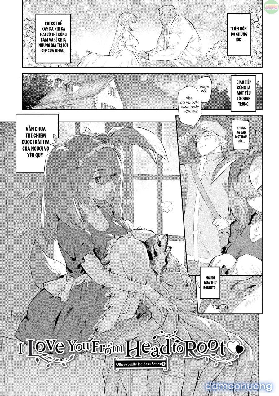 Otherworldly Maidens: Monster Girls from Another World 