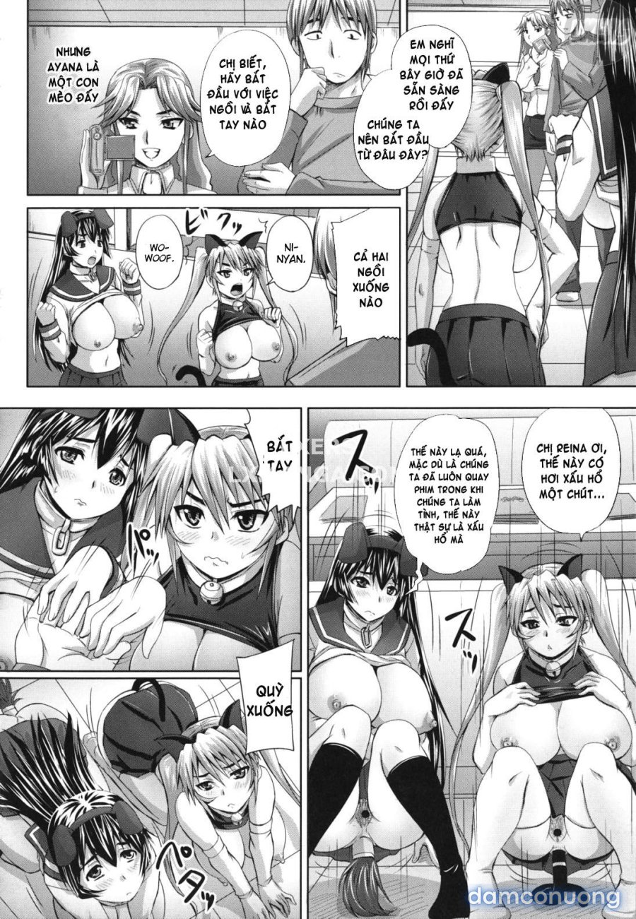 Get Pregnant, You Dirty Slut 